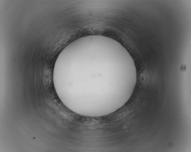 X0000111230772200907231503