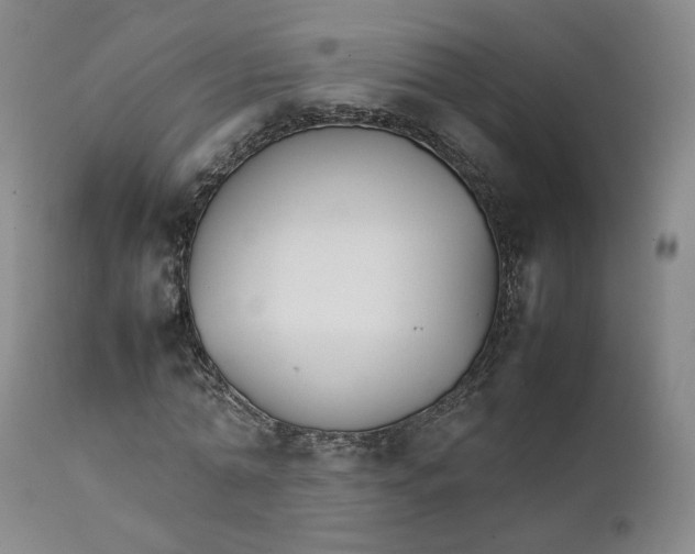 X0000111230774200907231503