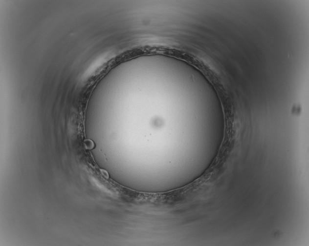 X0000111230775200907231503