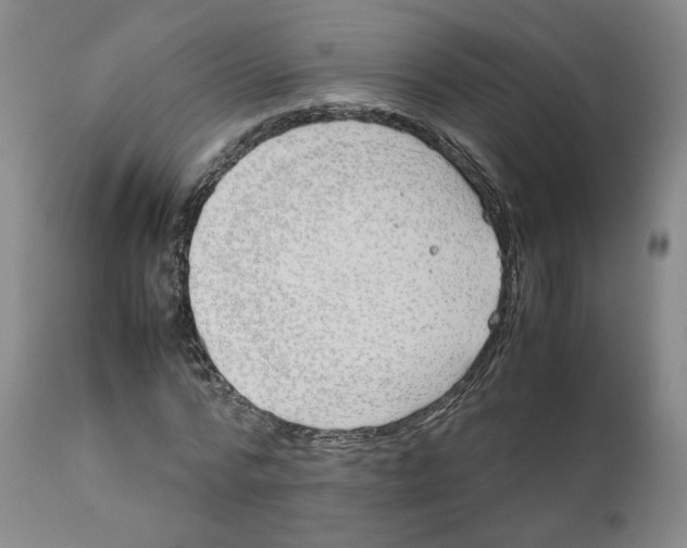 X0000111230776200907231503