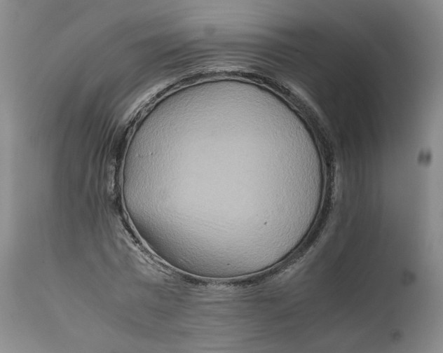 X0000111230777200907231503