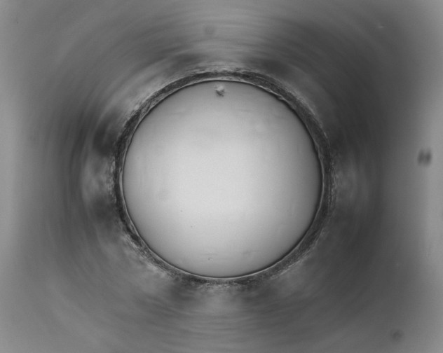 X0000111230778200907231503