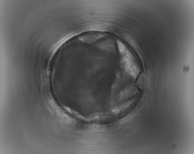 X0000111230779200907231503