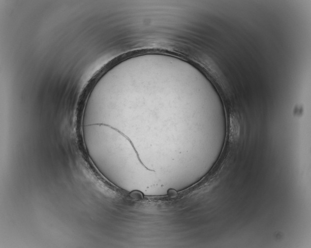 X0000111230780200907231503