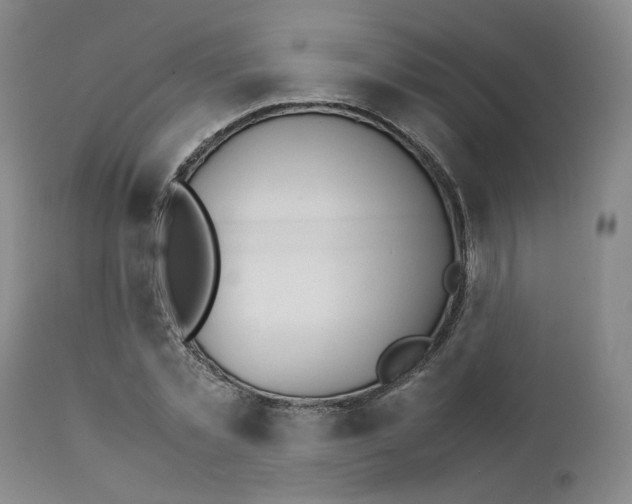 X0000111230781200907231503