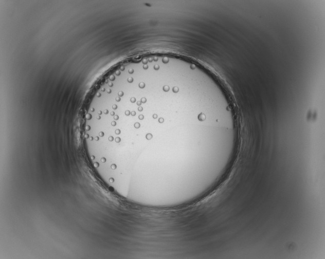 X0000111230782200907231503