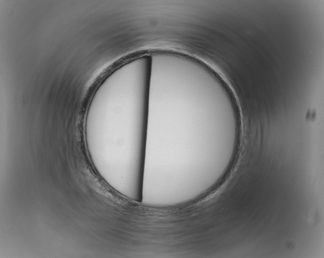 X0000111230783200907231503