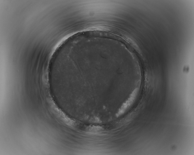 X0000111230784200907231503