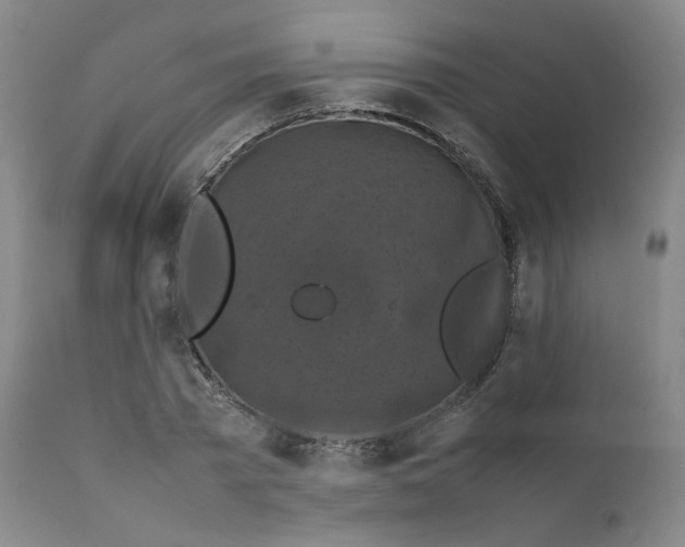 X0000111230785200907231503