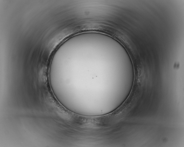 X0000111230786200907231503