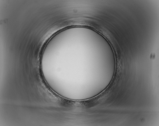 X0000111230787200907231503