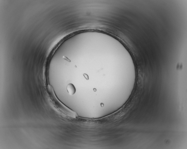 X0000111230788200907231503