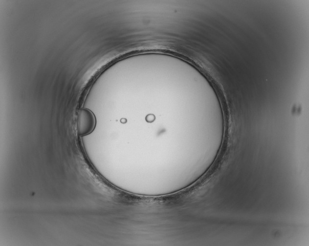 X0000111230789200907231503