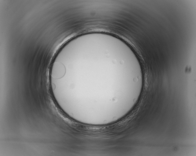 X0000111230790200907231503