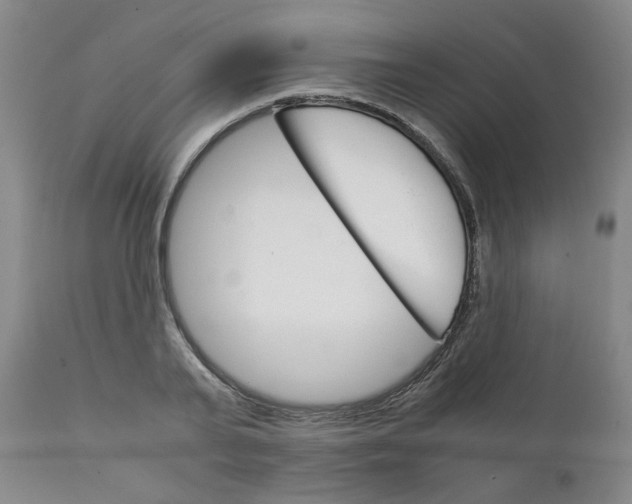 X0000111230791200907231503