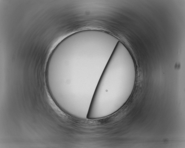 X0000111230795200907231503