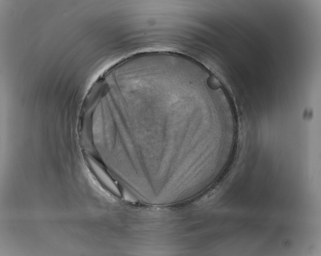 X0000111230797200907231503