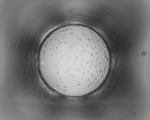 X0000111230798200907231503