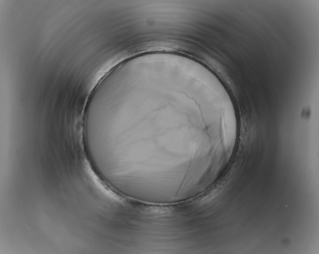 X0000111230802200907231503