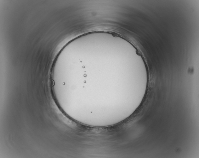 X0000111230803200907231503