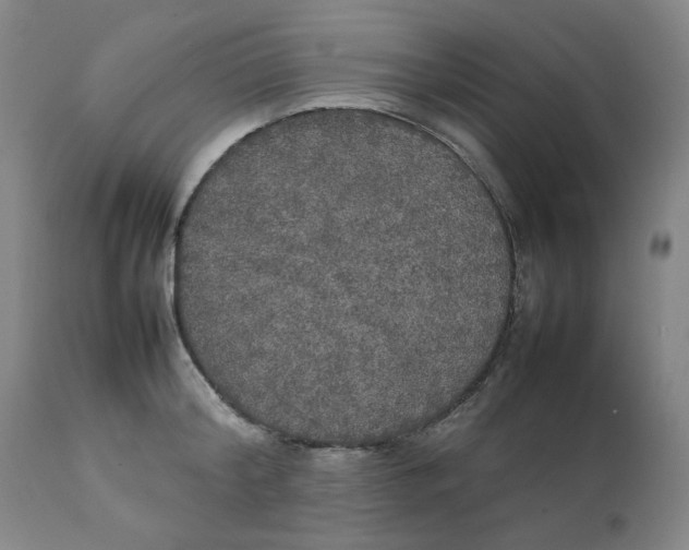 X0000111230804200907231503