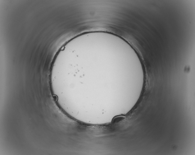 X0000111230805200907231503