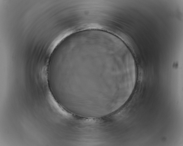 X0000111230806200907231503