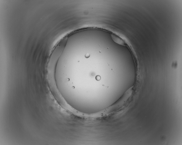 X0000111230807200907231503