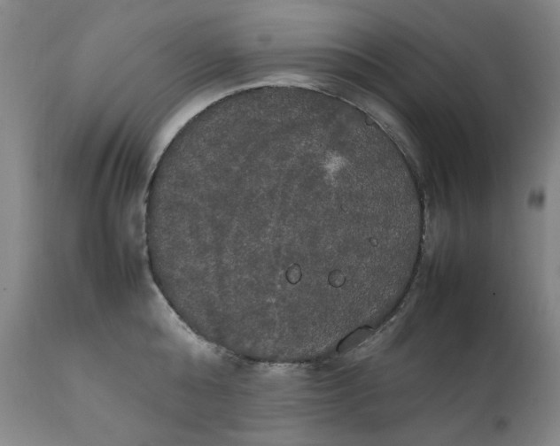 X0000111230808200907231503