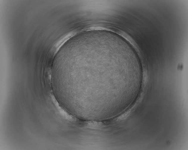 X0000111230809200907231503