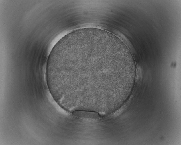 X0000111230812200907231503