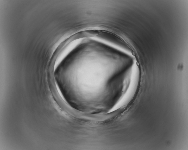 X0000111230813200907231503