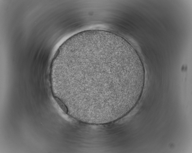 X0000111230816200907231503