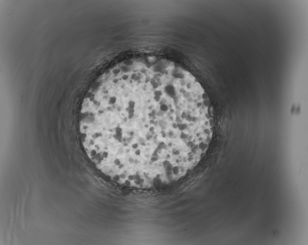 X0000111230817200907231502