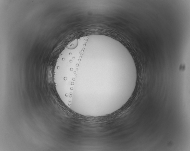 X0000111230818200907231502