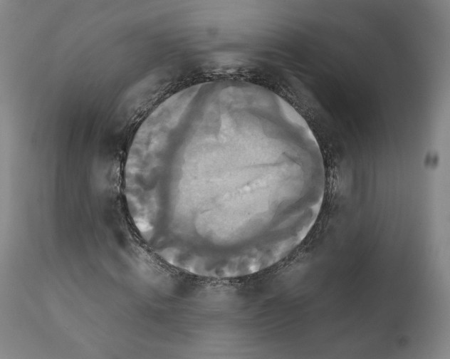 X0000111230820200907231502