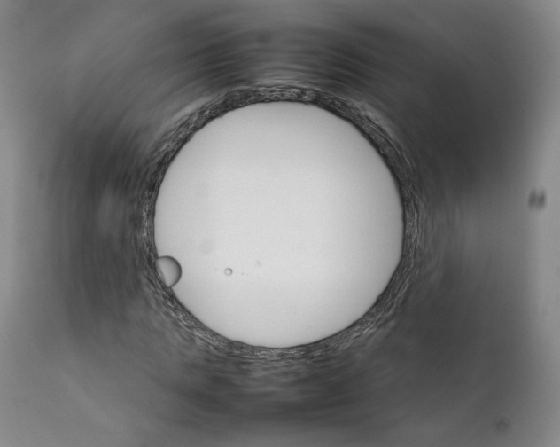 X0000111230821200907231502