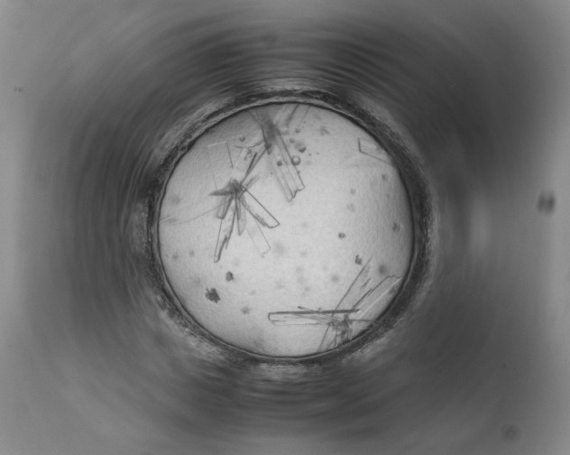 X0000111230825200907231502