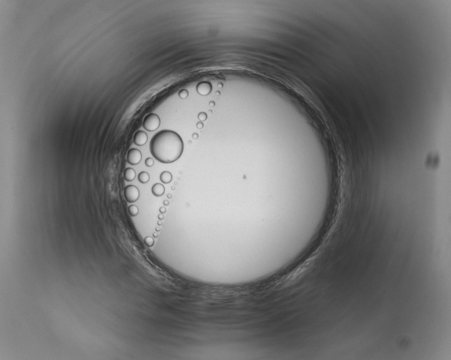 X0000111230826200907231502