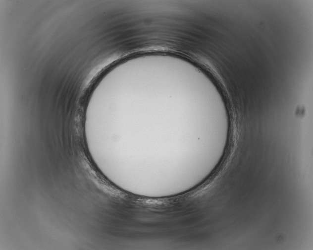 X0000111230827200907231502