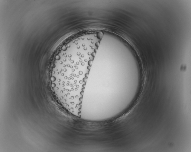 X0000111230829200907231502