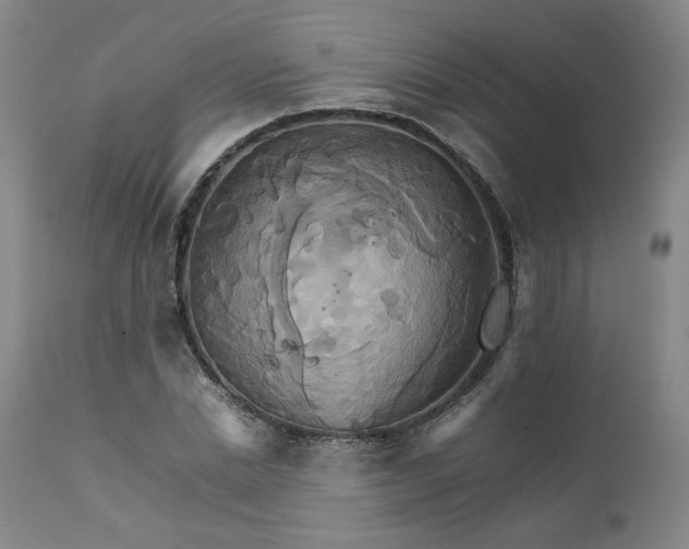 X0000111230830200907231502