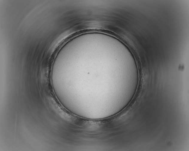 X0000111230831200907231502