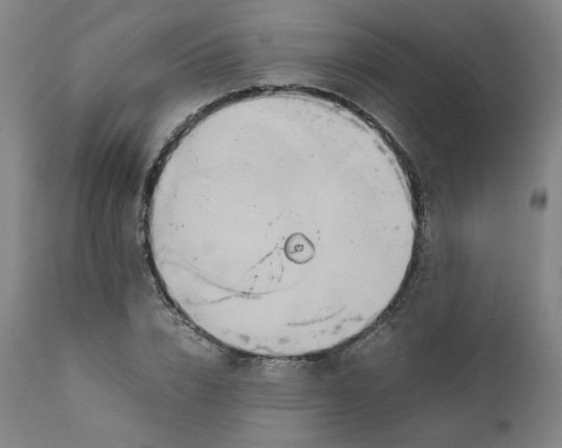 X0000111230832200907231502