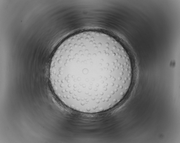 X0000111230833200907231502