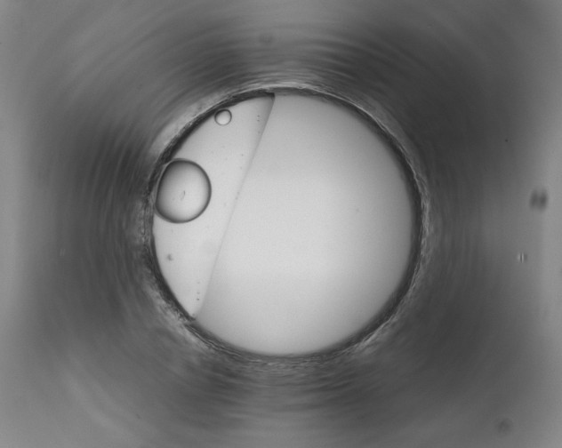 X0000111230834200907231502