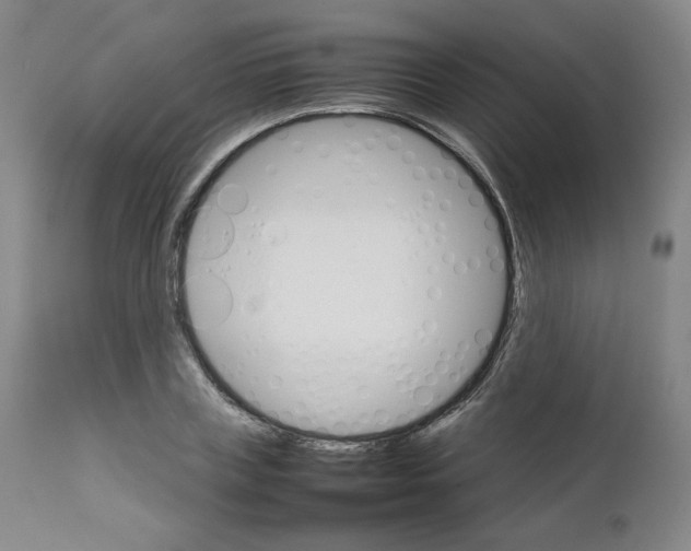 X0000111230835200907231502