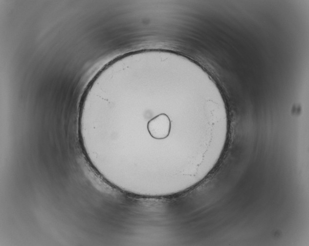 X0000111230836200907231502