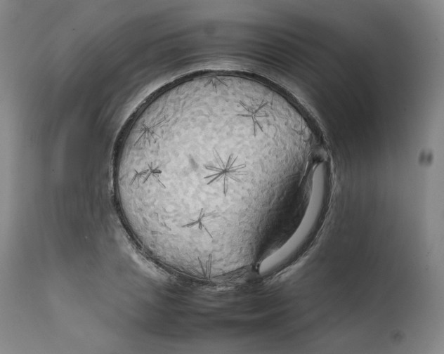 X0000111230837200907231502