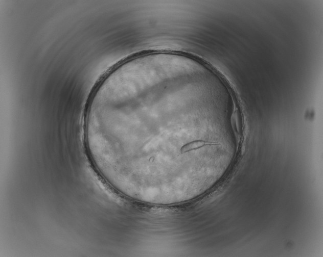 X0000111230840200907231502